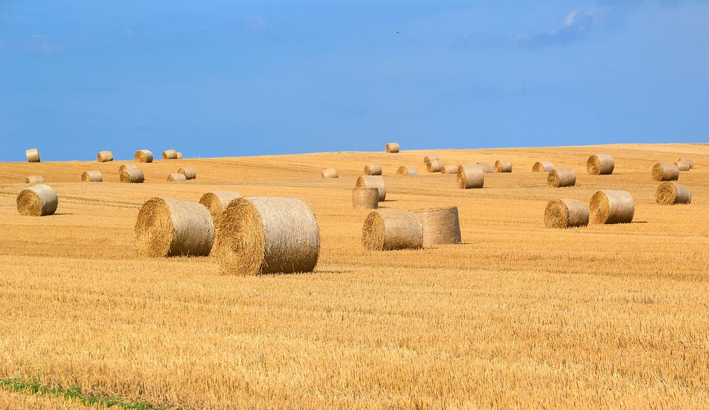 Rolling in the hay
