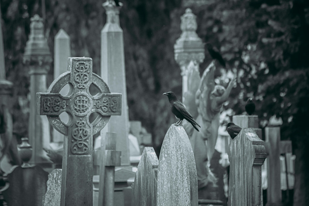 A crow perched on a gravestone beside a Celtic cross in a misty graveyard — symbol of the Death archetype and transformation.