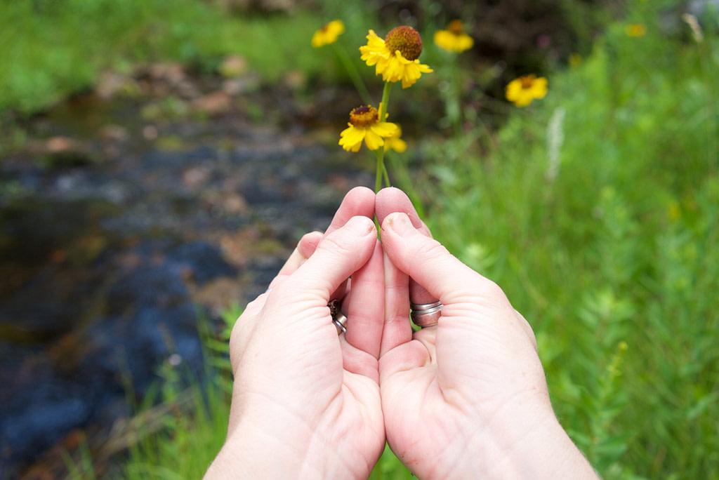 Person holding Yoni mudra with flowers, stream, and green landscape in the background — symbolizing creativity, grounding, and secular ritual in connection with nature
