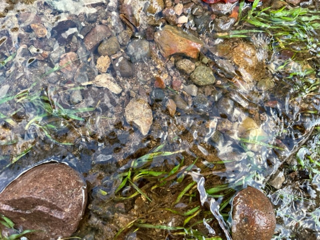rain becomes a river flowing in the canyon