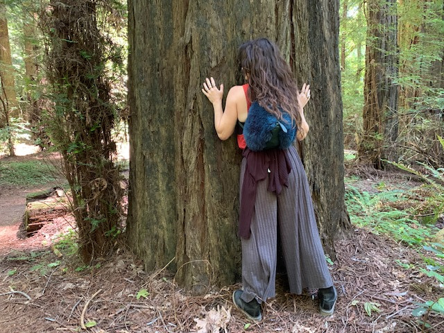 stable roots and moving parts