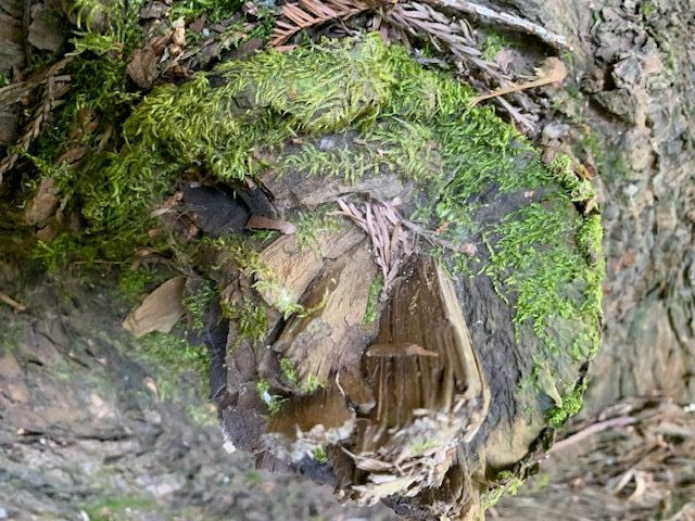 Life and death woven together