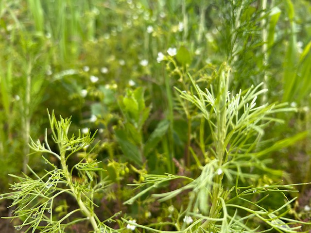 The earth knows what she's doing