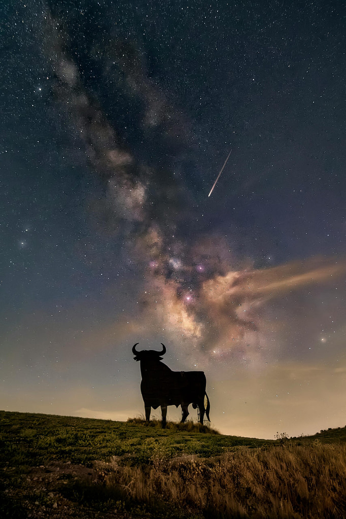 Black bull silhouette standing beneath the Milky Way and a shooting star - an image representing the bull archetype in mythology