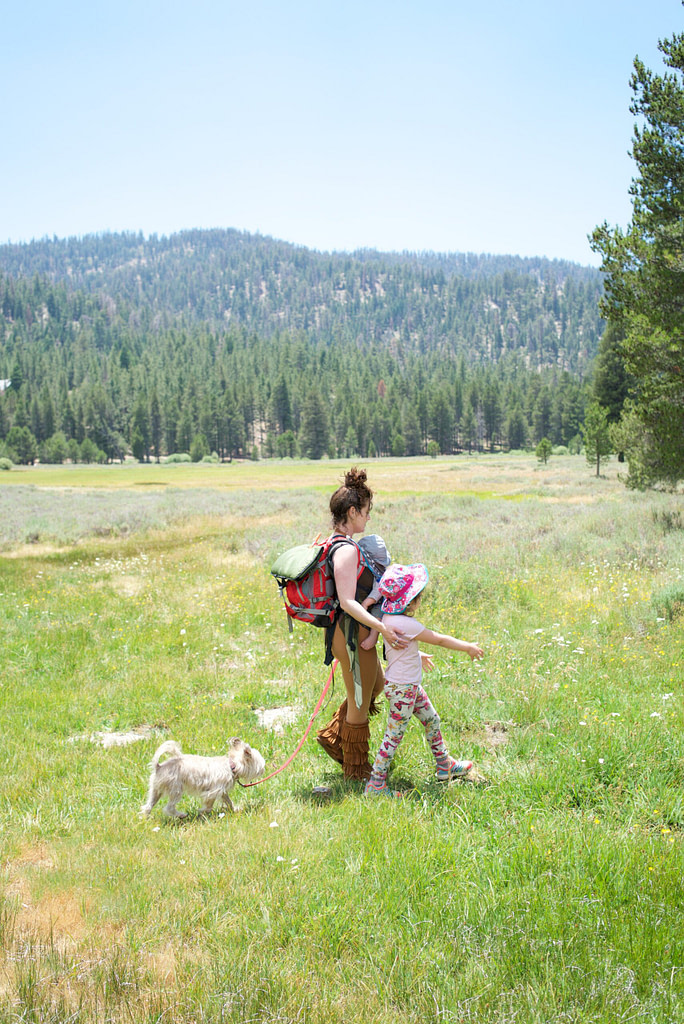 Symbolic image representing the Hero’s Journey Vs Heroine’s Journey; the mythic pathway of the Heroine journey through life and culture - a mother carrying a baby, walking with a young child and a dog in a meadow.