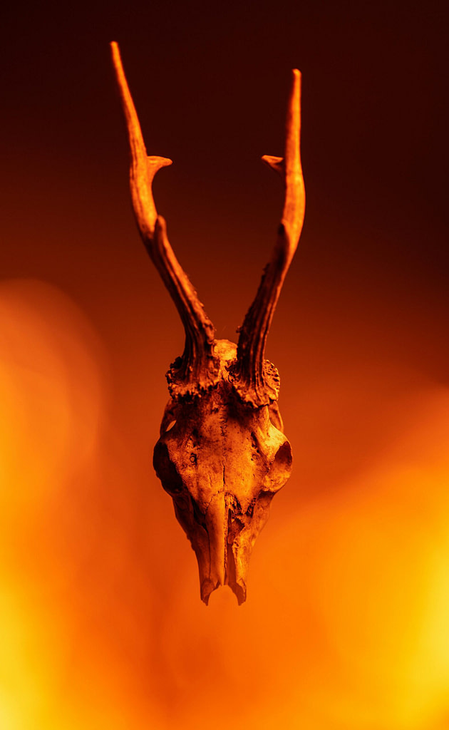 Symbolic depiction of the Devil archetype as creative fire and rebellion. Burning skull with horns.